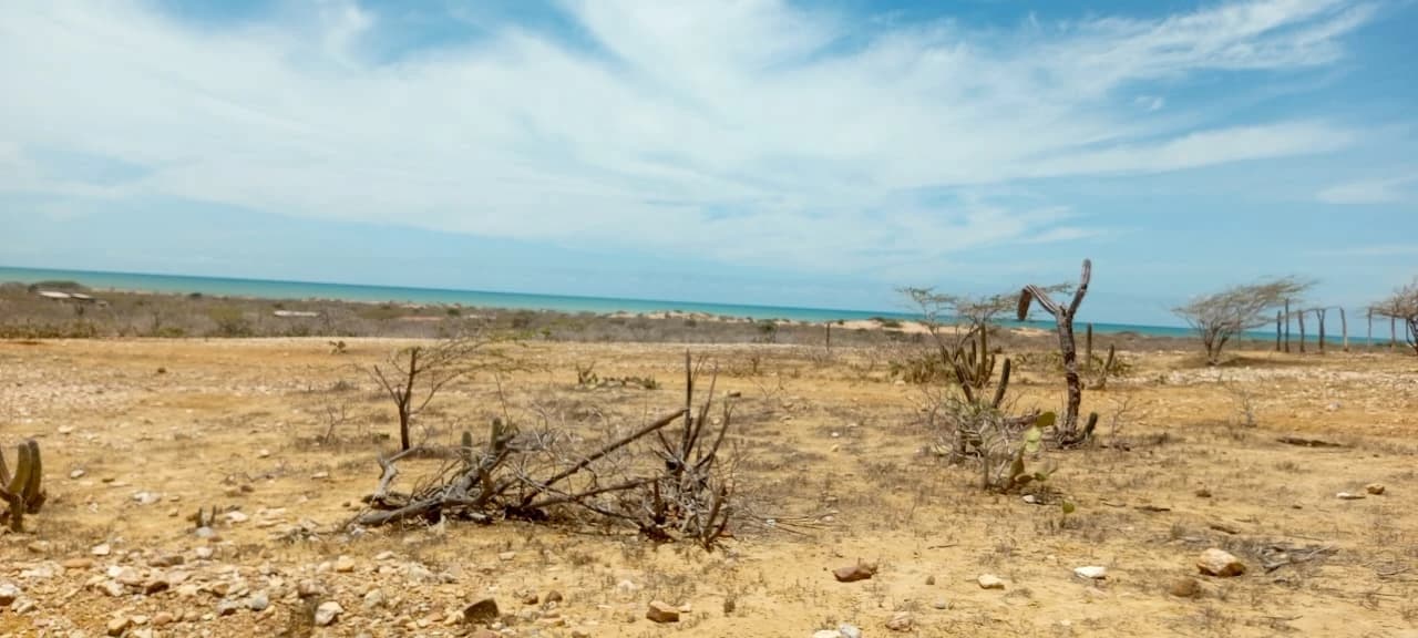 Luminar Missionary Foundation gallery image 2