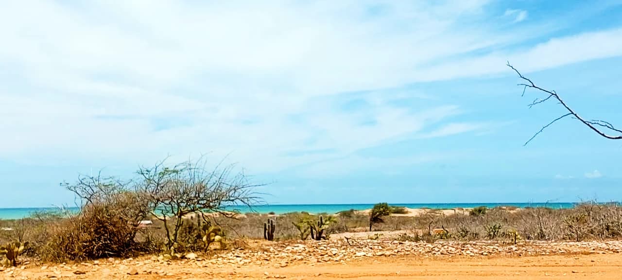 Luminar Missionary Foundation gallery image 17
